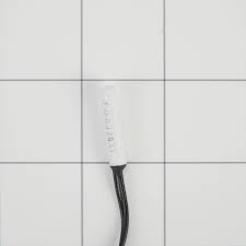 Thermistor (WP2188819)