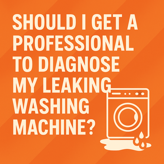 Should I Get a Professional to Diagnose My Leaking Washing Machine?